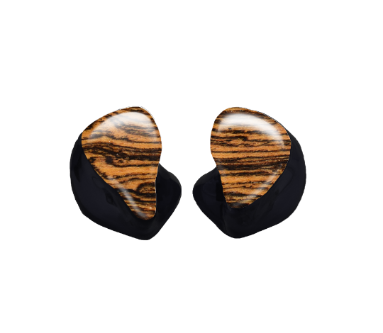 Custom In-Ear