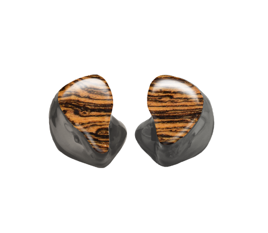Custom In-Ear