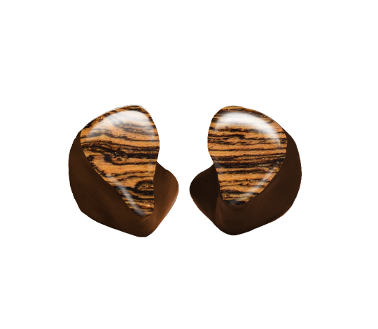 Custom In-Ear