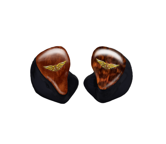 Custom In-Ear