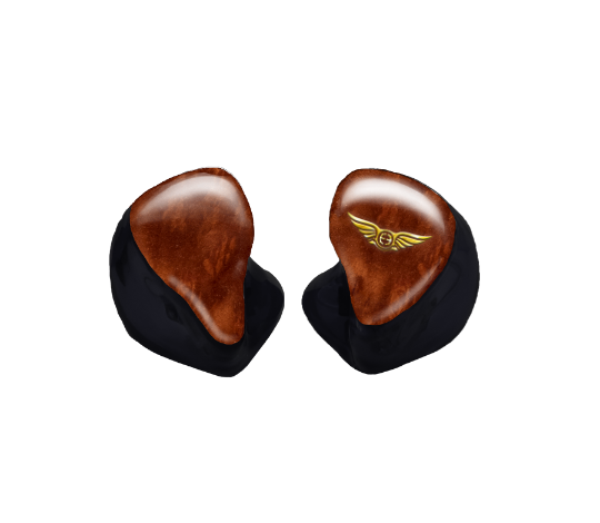 Custom In-Ear