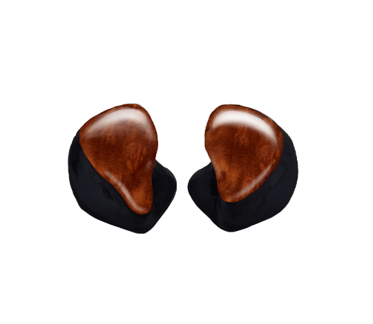 Custom In-Ear