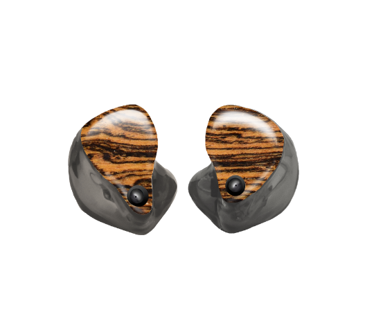 Custom In-Ear