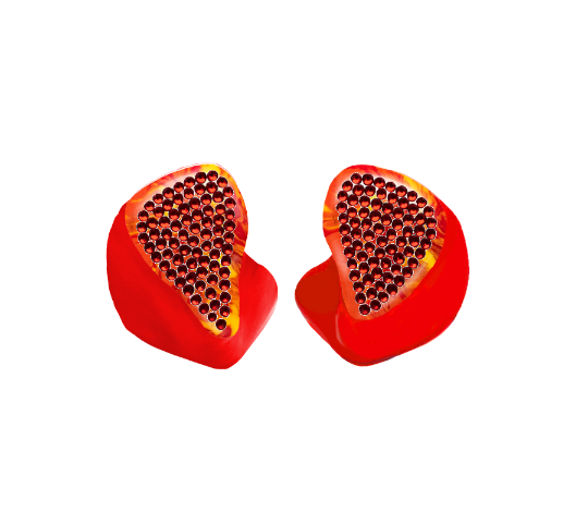 Custom In-Ear