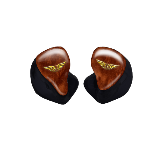 Custom In-Ear