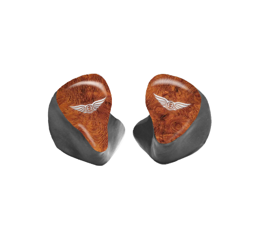 Custom In-Ear