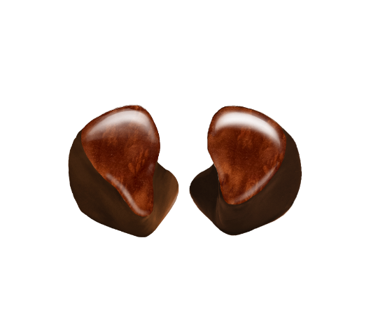 Custom In-Ear