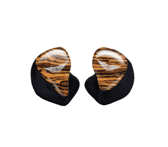 Custom In-Ear