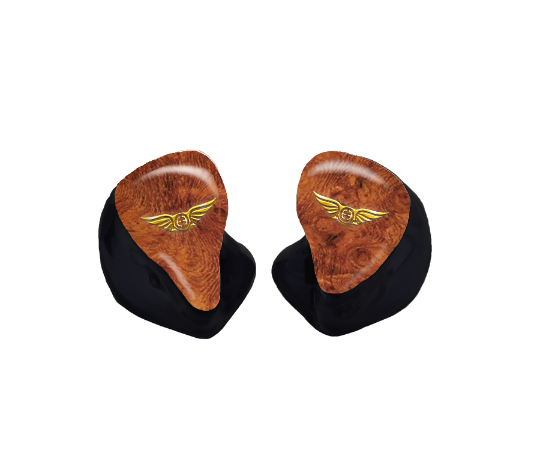 Custom In-Ear