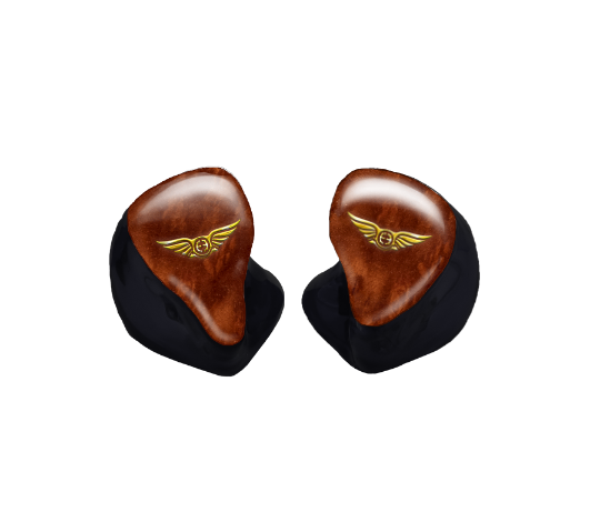 Custom In-Ear