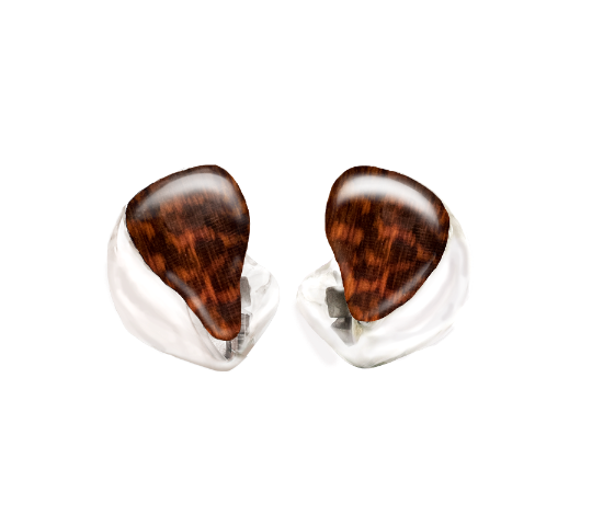 Custom In-Ear