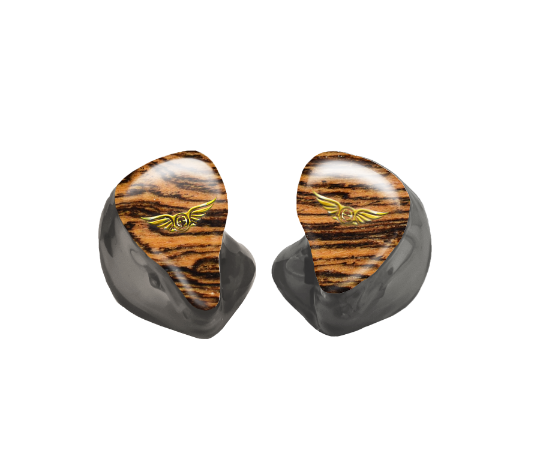 Custom In-Ear