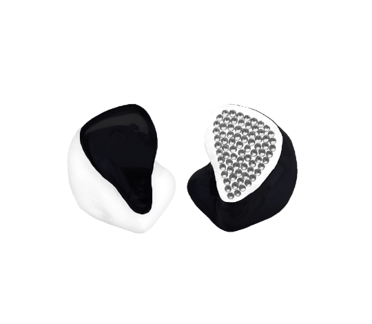 Custom In-Ear