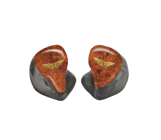 Custom In-Ear
