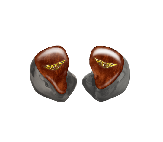 Custom In-Ear