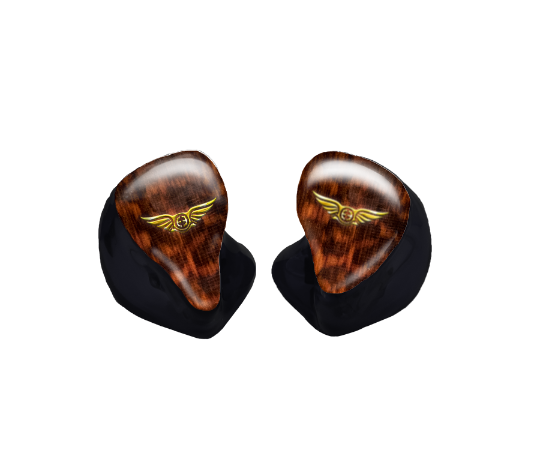 Custom In-Ear