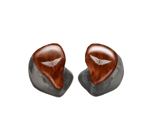 Custom In-Ear