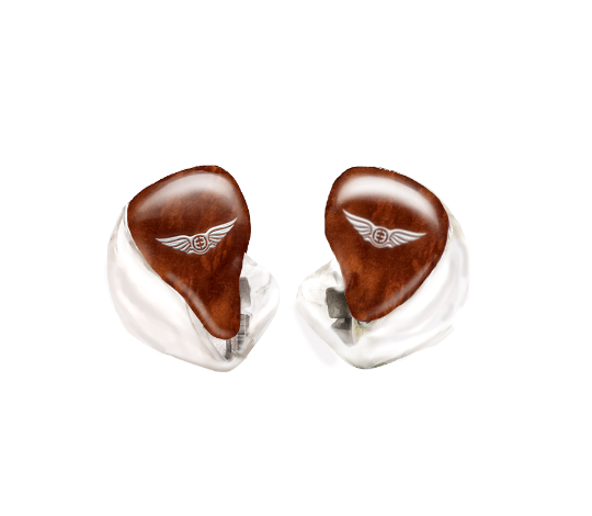 Custom In-Ear