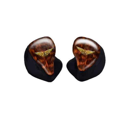 Custom In-Ear