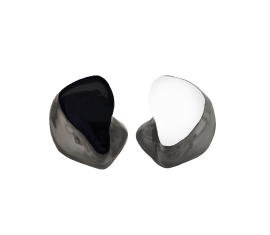 Custom In-Ear