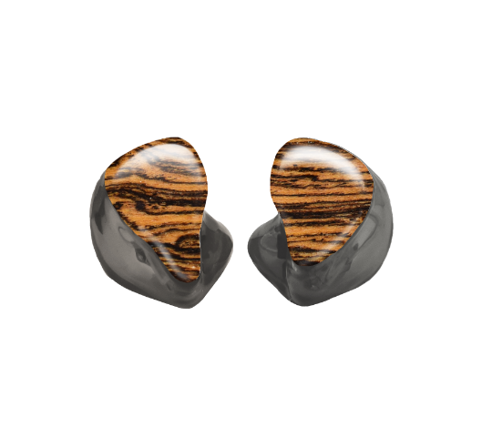 Custom In-Ear