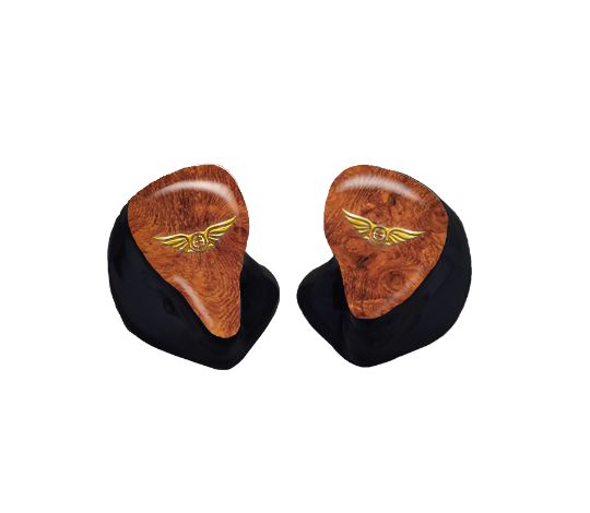 Custom In-Ear