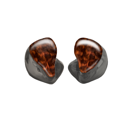 Custom In-Ear