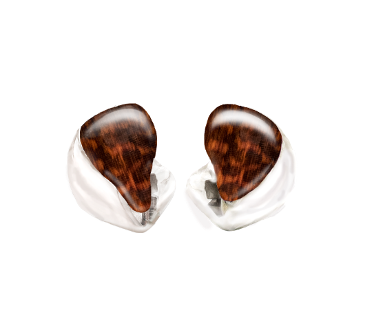Custom In-Ear