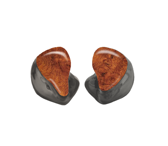 Custom In-Ear