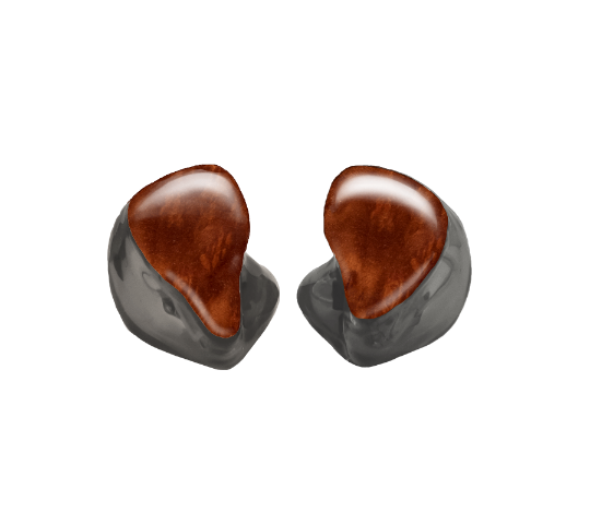 Custom In-Ear
